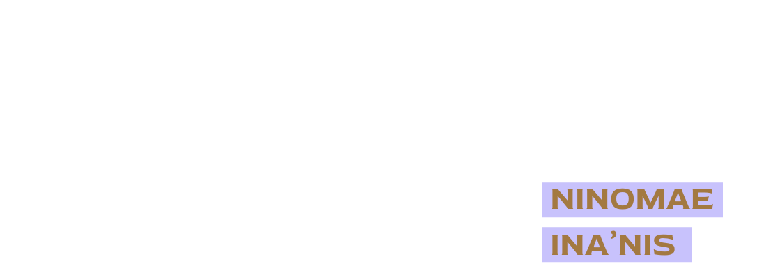 ninomaeinanis